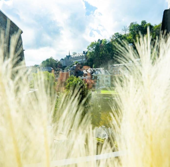 Le Comble Amoureux La-Roche-en-Ardenne Bagian luar foto